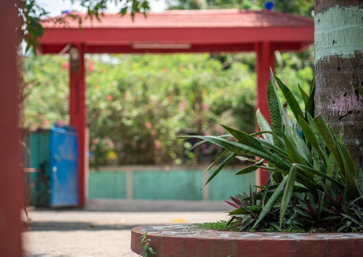 Palm Grove Eco Resort Port Blair Exterior photo